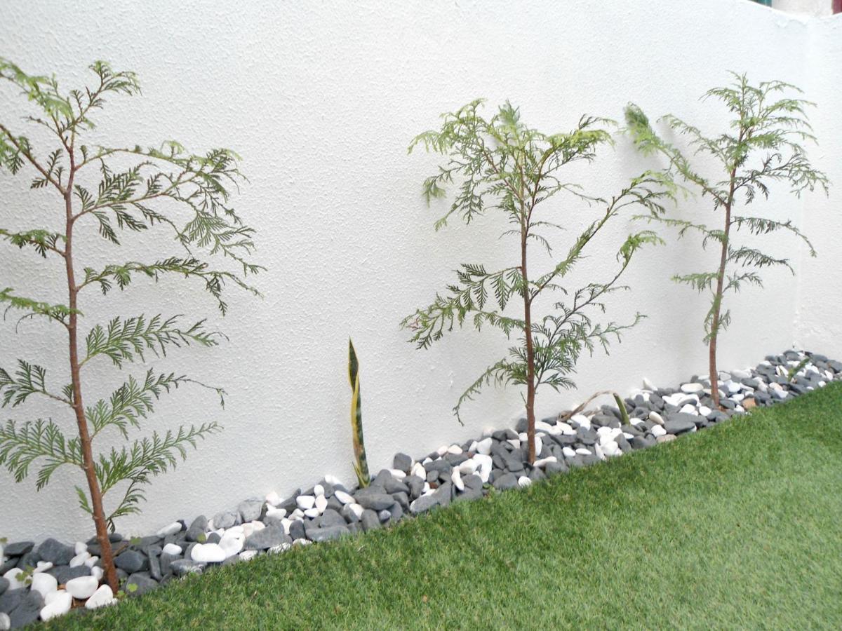 Garden'S Apartment Funchal  Exteriör bild